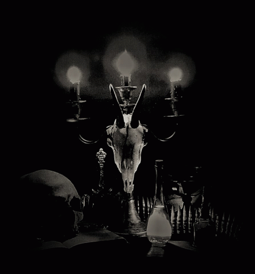 Cultum Interitum : Deathlust